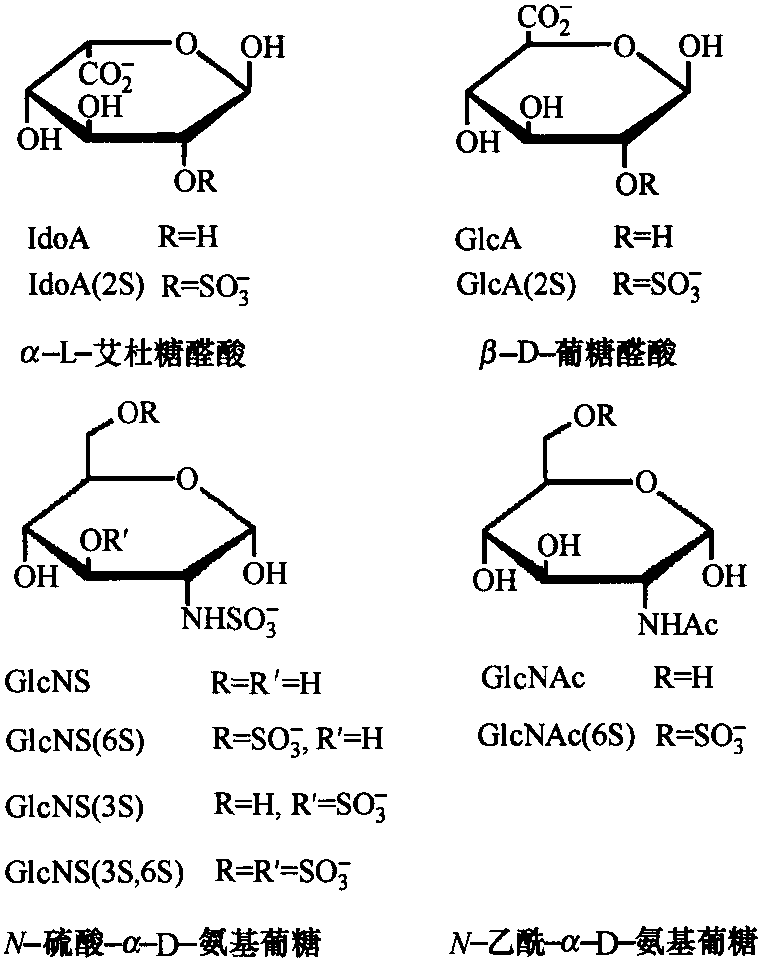 3.2 肝素的單糖成分